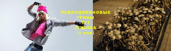 первитин Алексин