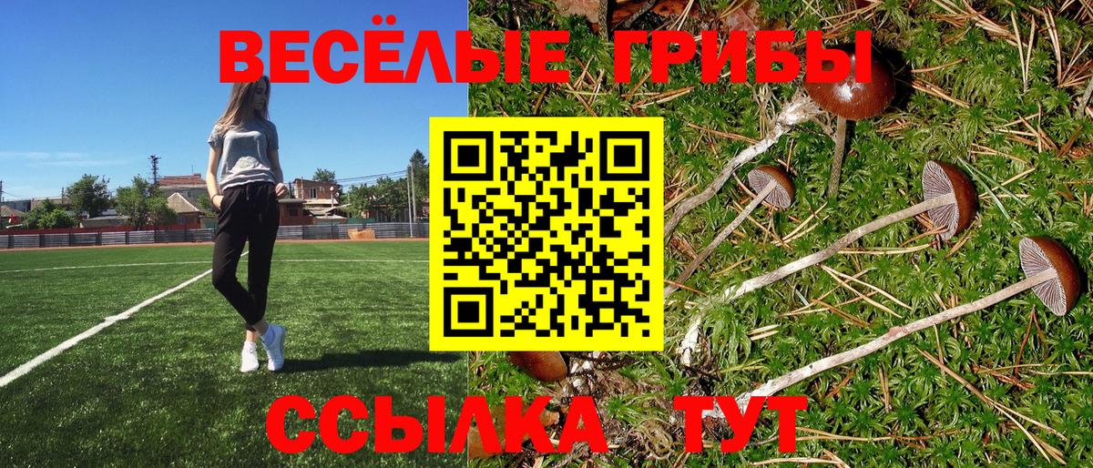 Галлюциногенные грибы мухоморы  Вход с VPN  купить закладку  Салават  Псилоцибиновые грибы GOLDEN TEACHER 